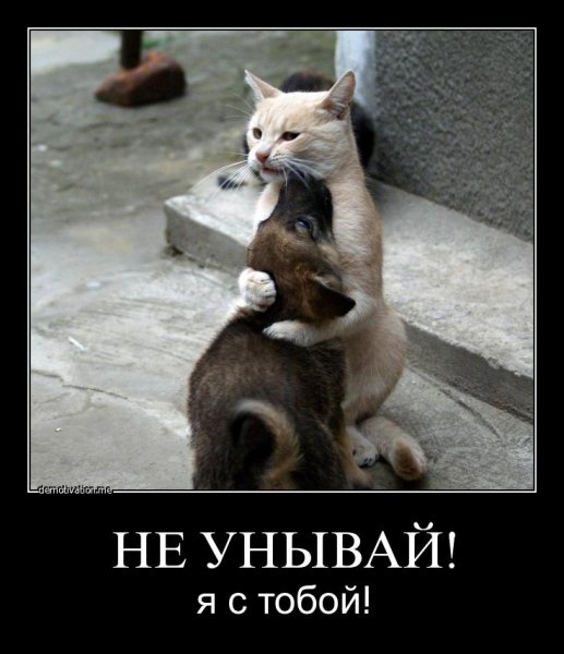 Держись я с тобой