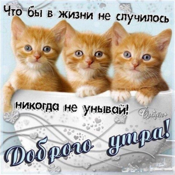Открытка не унывай