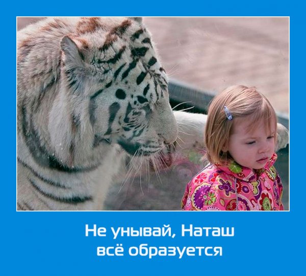 С не унывай.
