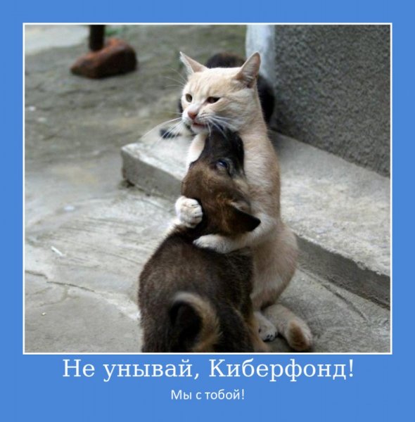 Не унывай прикол