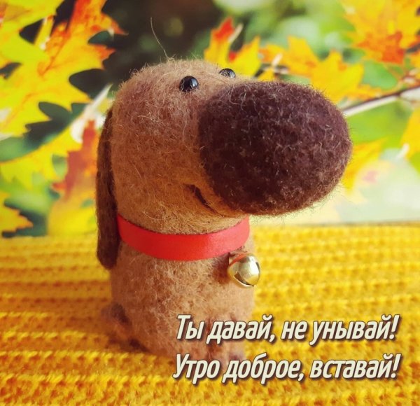 Доброе утро не унывай