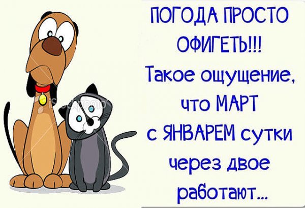 Веселые статусы про март
