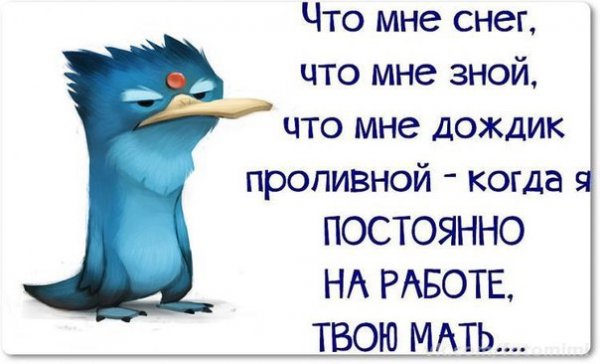 Про погоду цитаты прикольные