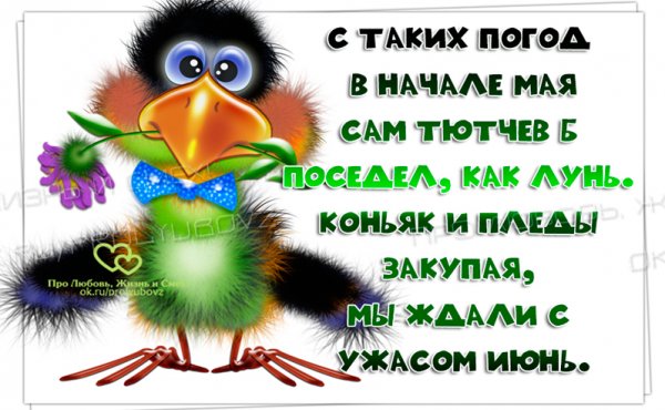 Шутки про погоду