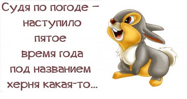 Открытки про плохую погоду шуточные