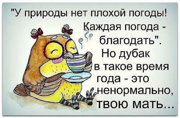 Афоризмы про Холодное лето