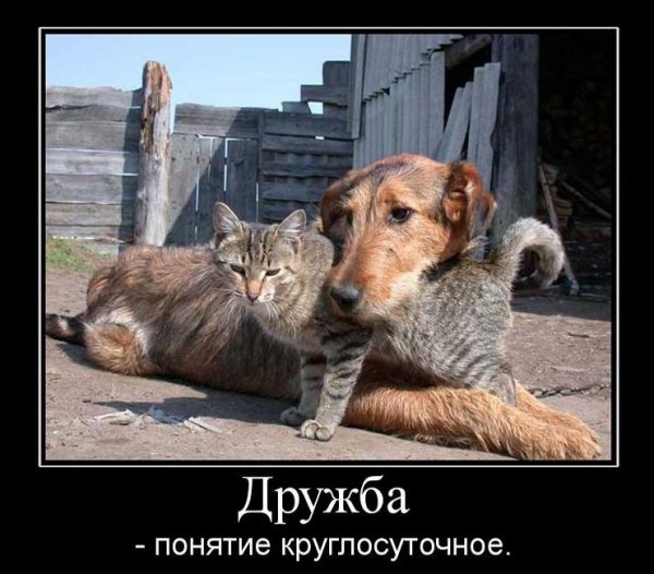 Приколы про друзей