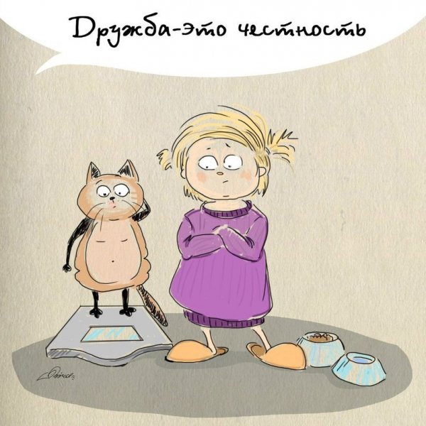 Дружба картинки прикольные