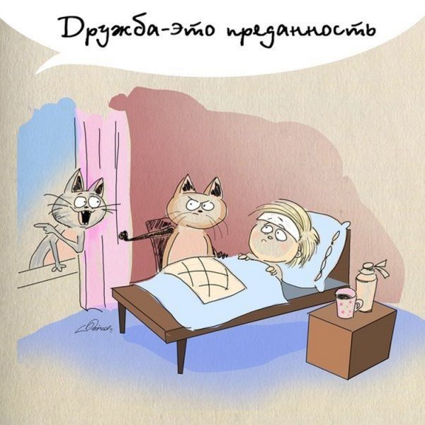 Дружба прикольные