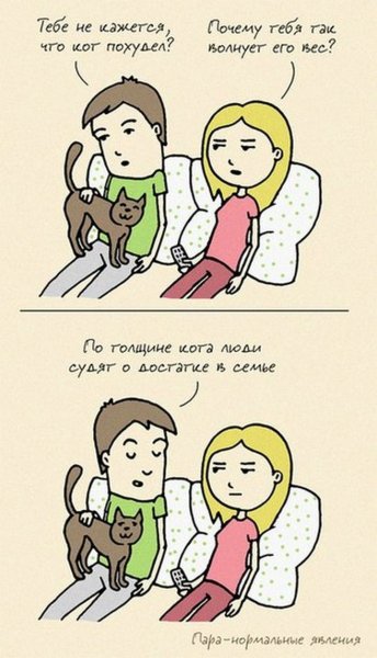 Смешные отношения