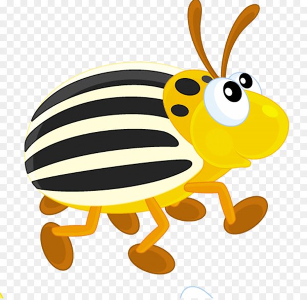 Картинка майского жука для детей в детском саду