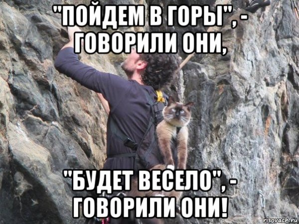 Будет весело говорили они