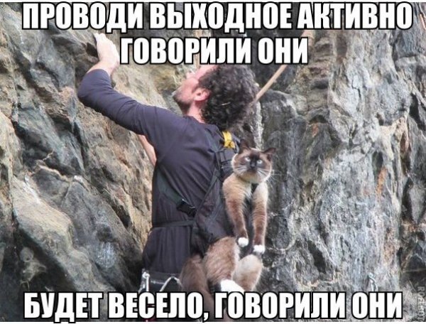 Будет весело говорили они