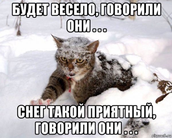 Будет весело говорили они