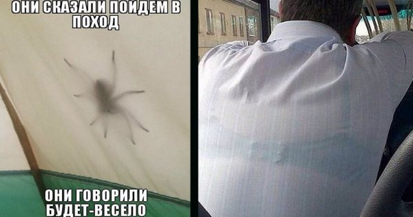Будет весело говорили они