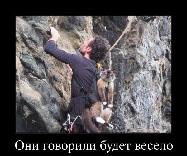 Демотиваторы скалолаз