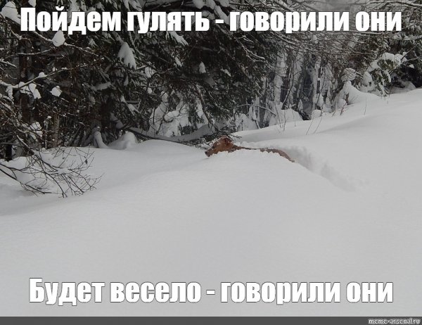 Будет весело говорили они Мем