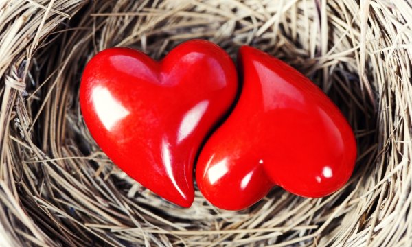 Сердце любовь