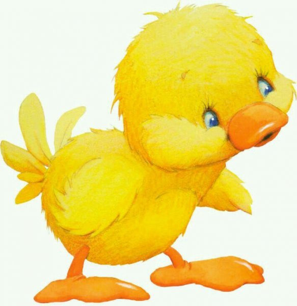 Цыпленок и утенок