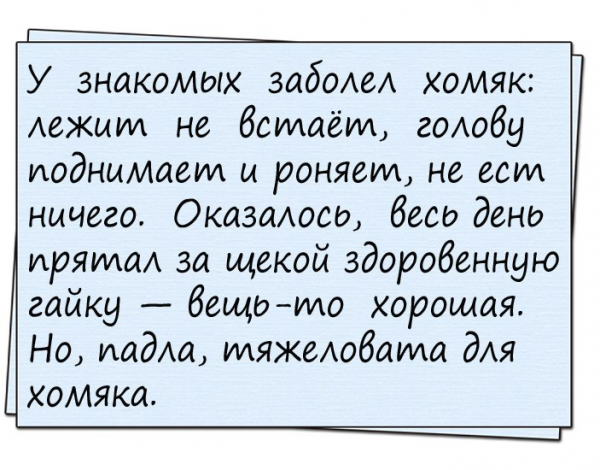 Анекдоты в картинках с н