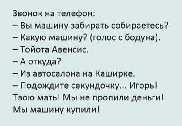 Прикольные тексты