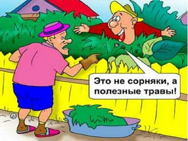 Анекдоты про огород в картинках