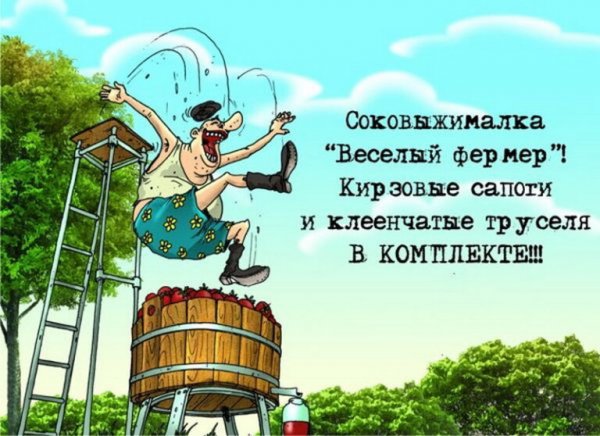 Шутки про дачу и дачников
