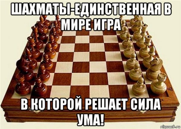 Шутки про шахматы