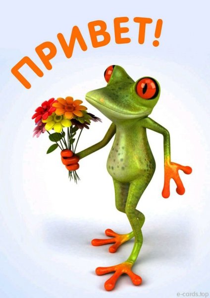 Доброе утро лягушка
