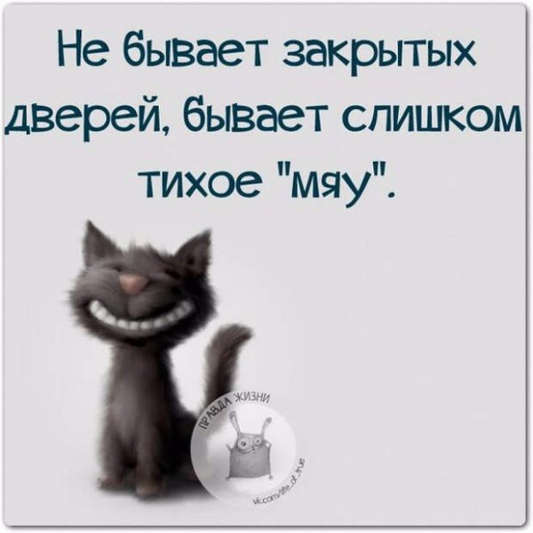 Смешные высказывания в картинках