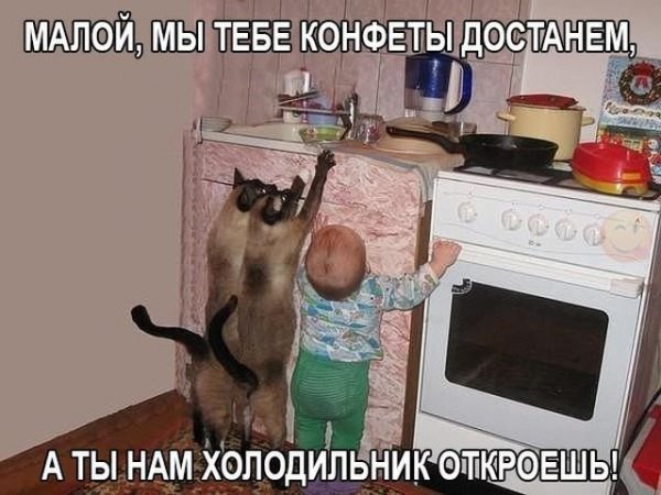 Картинка смешная а ситуация с надписями