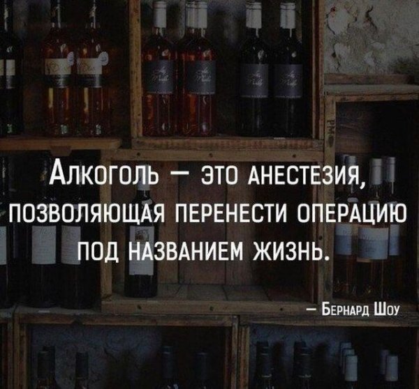 Смешные высказывания про алкоголь