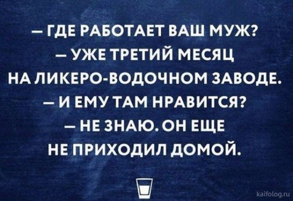 Приколы про алкоголь