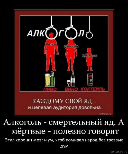 Алкогольные демотиваторы