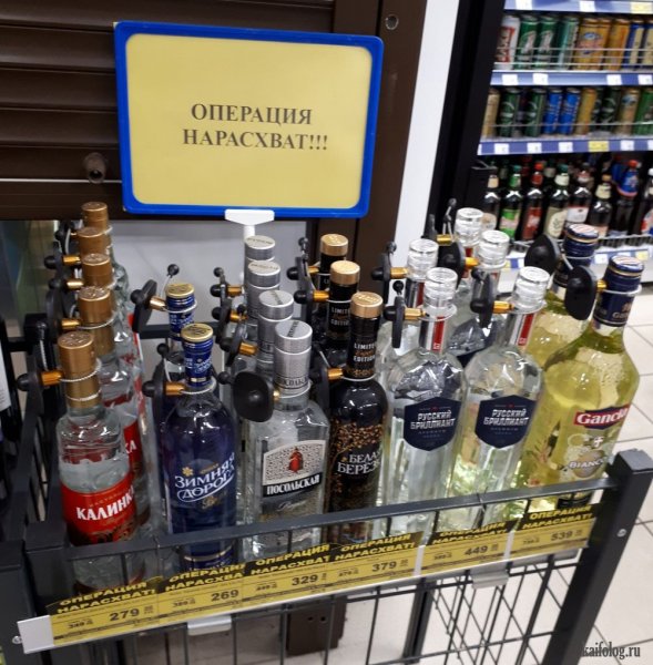 Приколы про алкоголь