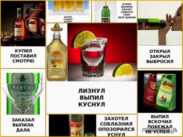Прикольные алкогольные напитки