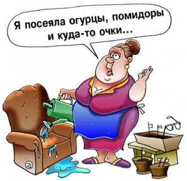 Смешные шутки для бабушек