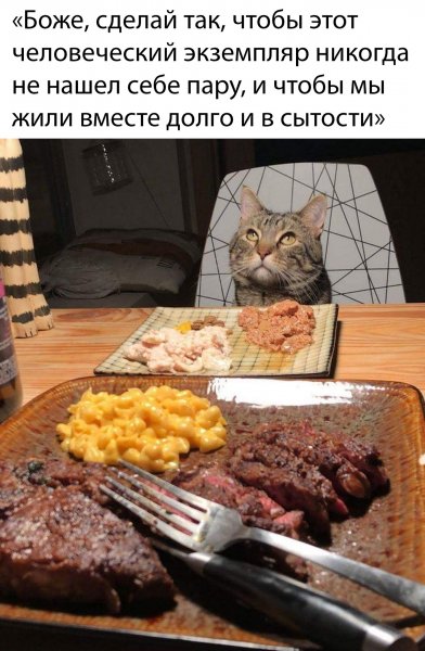 Шоу Малышевой