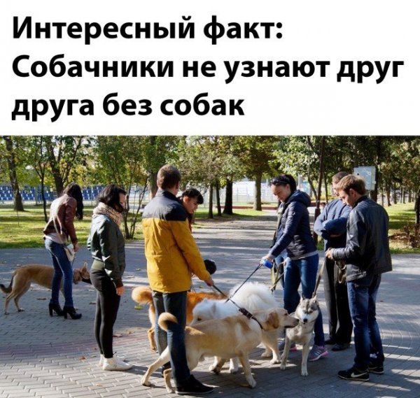 Белочки с первого канала 2020