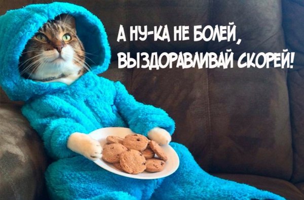 Пожелания скорейшего выздоровления