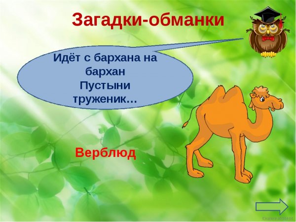 Загадки для детей 3 лет с ответами