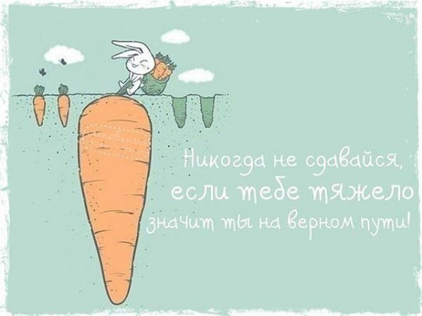 Цитаты для ЛД