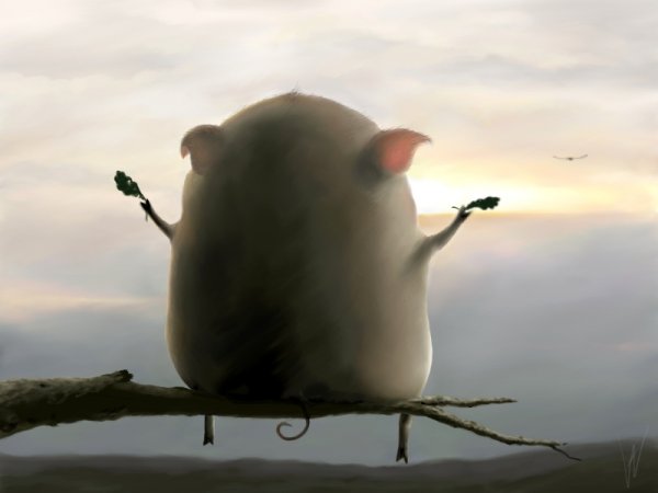 Мотиваторы позитивные Жизнеутверждающие