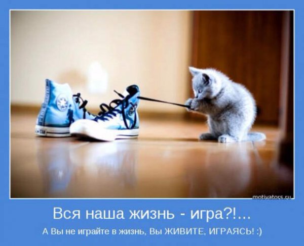 Прикольные мотиваторы про жизнь