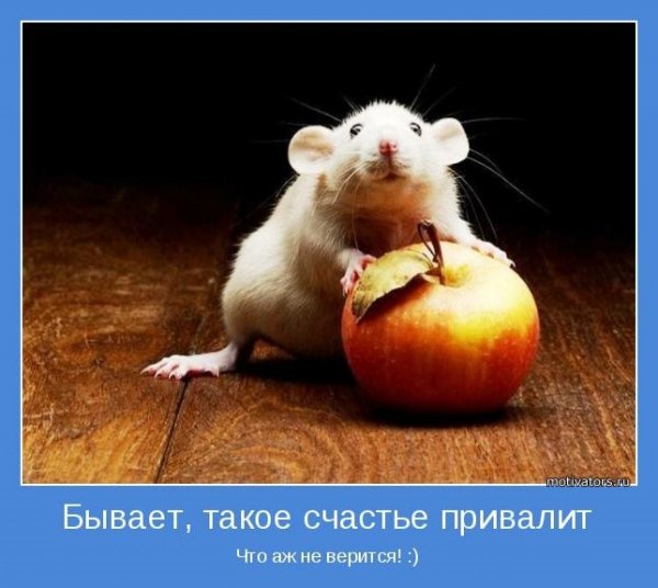 Счастье мотиватор
