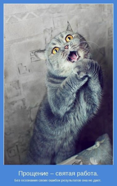 Мотиваторы позитивные смешные