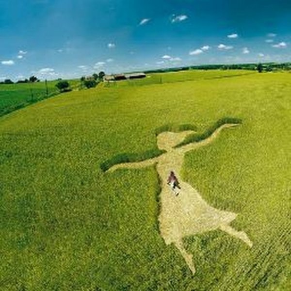 Веселые мотиваторы