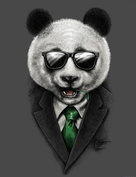 Псеунов Тимур