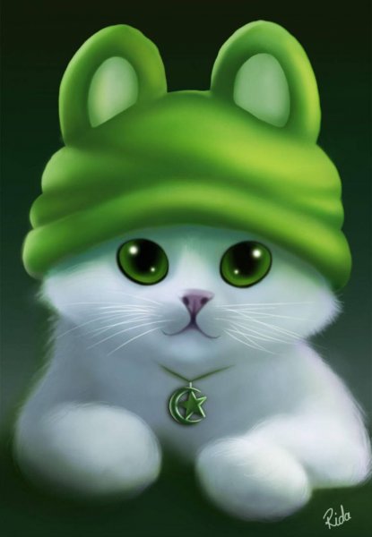 Кот в зеленой шапке
