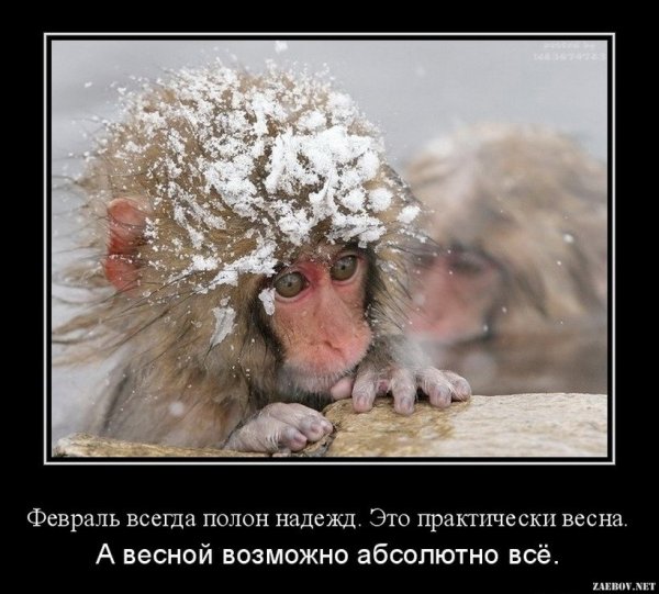 Зиму перезимовали осталось перезимовать весну